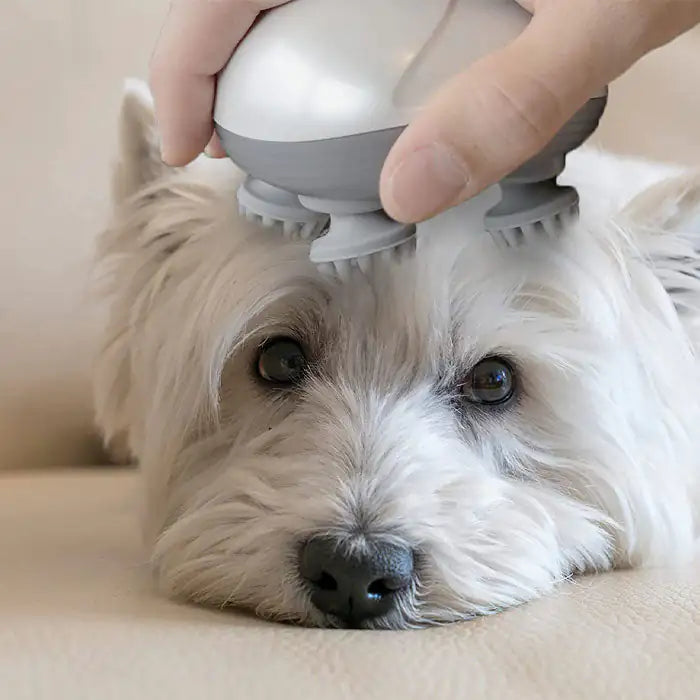 😍 Massageie Seu Pet como um Profissional! 🐶💆‍♂️ Alívio Instantâneo e Relaxamento Garantido! ✨