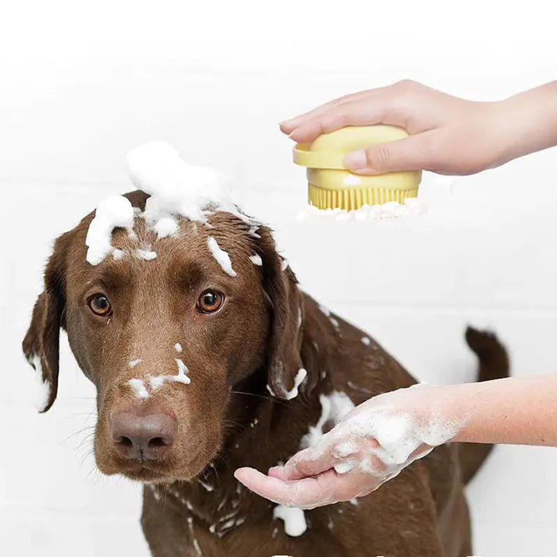 🛁 Escova de Banho 2 em 1 para Animais 🐾 – CleanPet com Dispensador de Champô 🧴