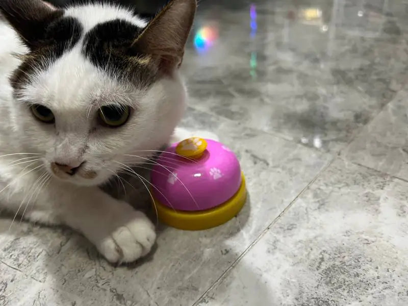 🔔 Dites adieu aux devinettes ! Apprenez à votre animal de compagnie 🐾 à communiquer avec le Pet Footprint Ringer ! 