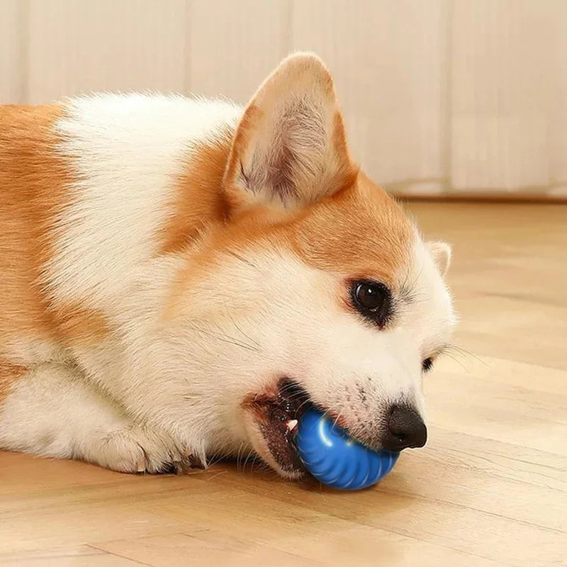 🎾🐶 Balle interactive intelligente pour animaux de compagnie – Un plaisir sans fin pour votre chien ou votre chat ! 🐾 