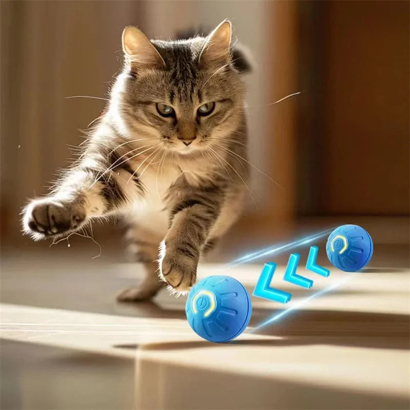 🎾🐶 Balle interactive intelligente pour animaux de compagnie – Un plaisir sans fin pour votre chien ou votre chat ! 🐾 