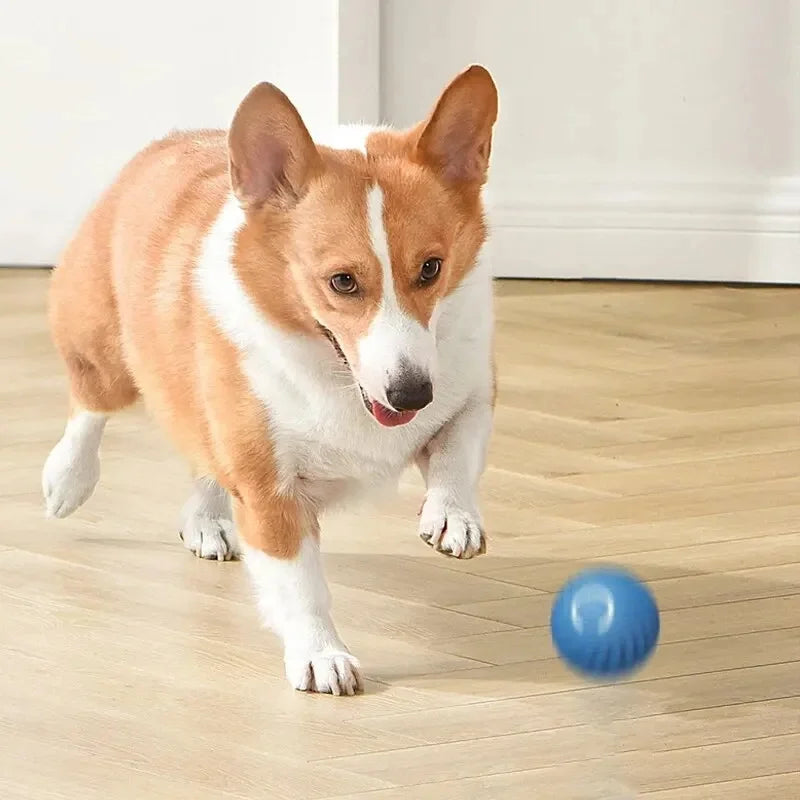 🎾🐶 Balle interactive intelligente pour animaux de compagnie – Un plaisir sans fin pour votre chien ou votre chat ! 🐾 
