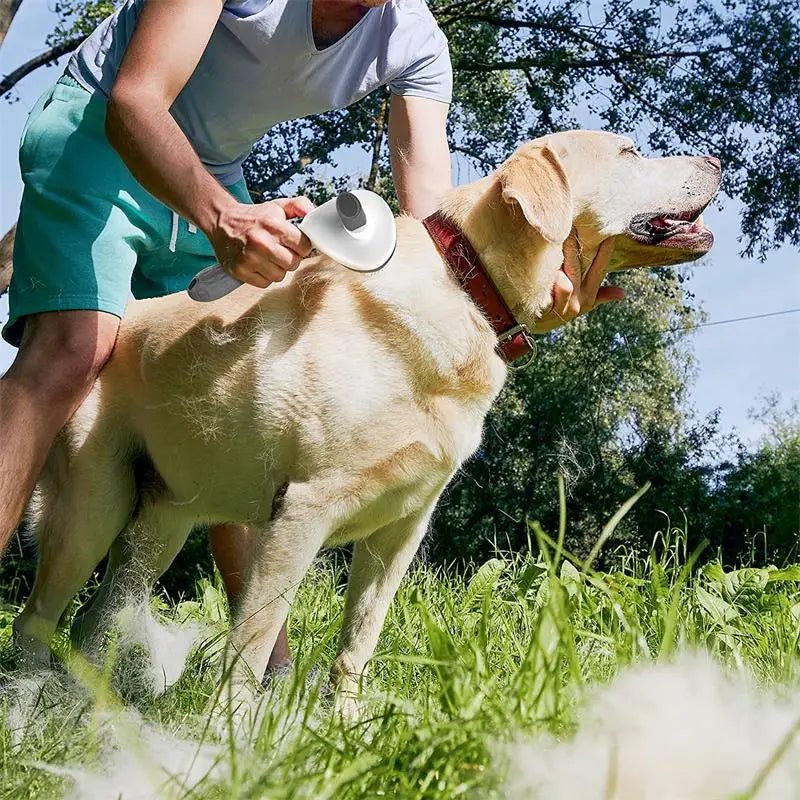 Escova de Aço para Depilação e Limpeza de Pelos de Pets - mineirosofertas