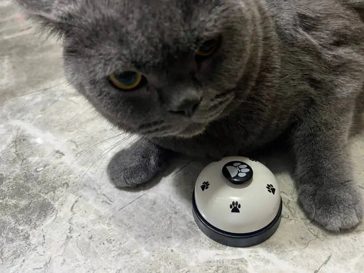 🔔 Dites adieu aux devinettes ! Apprenez à votre animal de compagnie 🐾 à communiquer avec le Pet Footprint Ringer ! 
